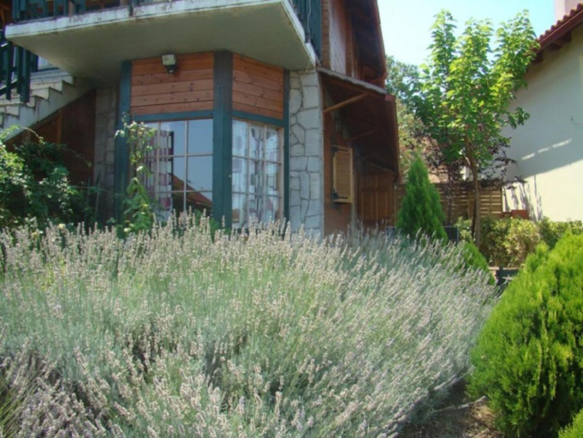 Zeus-Village Οικισμός Φινλανδικών Chalet Με Πισίνες & Γυμναστήριο Molos  Ruang foto